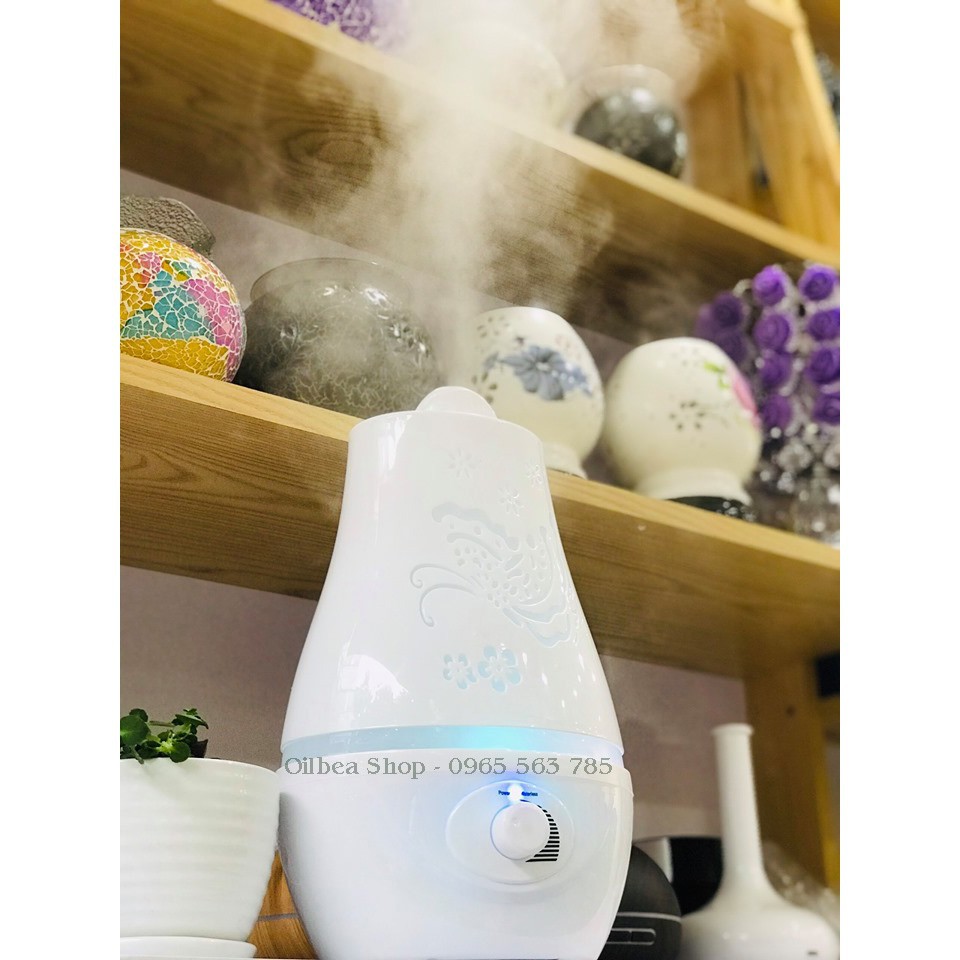 XẢ KHO 3 NGÀY Máy phun sương tinh dầu lớn 2400ml kèm tinh dầu sả chanh 10ml và bạc hà 10ml Aroma Life #7