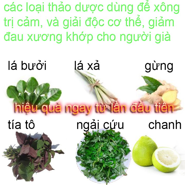 Nồi Xông Hơi 4 lít- Bảo hành 12 tháng chính hãng #6