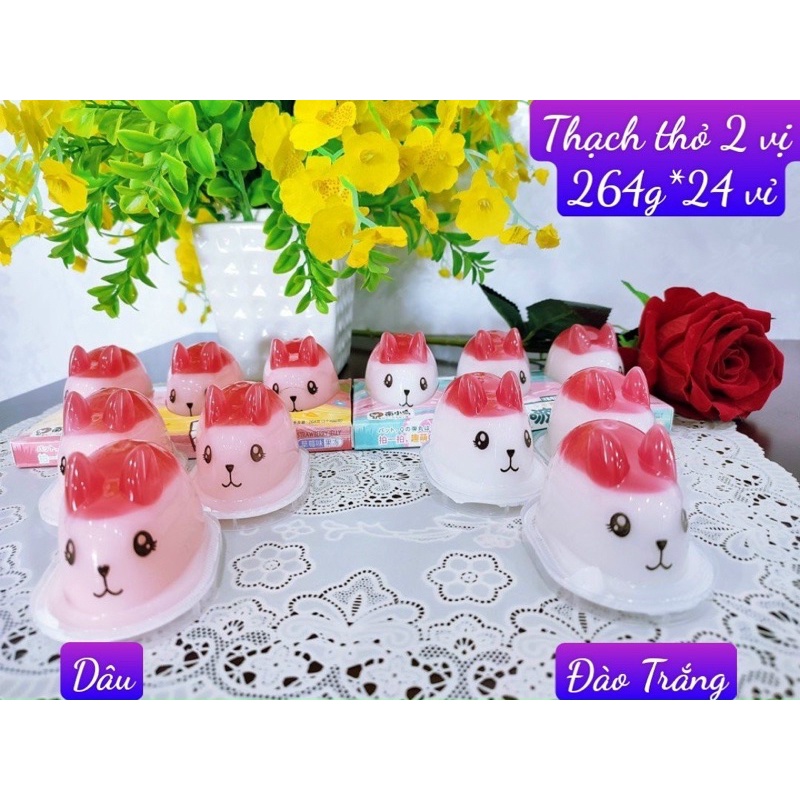 1 VỈ 264gr 3 THẠCH HÌNH THỎ VỊ HOA QUẢ SIÊU CUTE