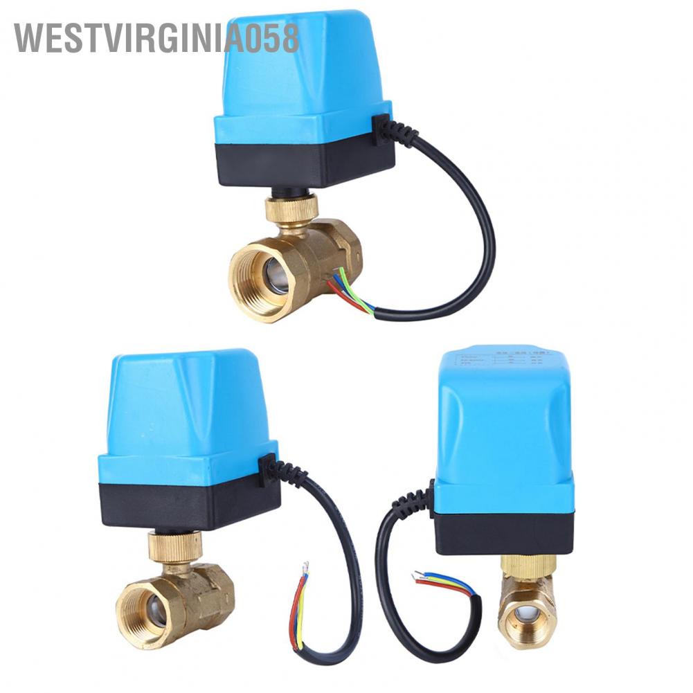 Có thể bán buôn Van bi điện 2 chiều 3 dây điều khiển Bảo vệ IP54 Động cơ đồng bộ Blue AC220V Hàng giao ngay Westvirginia058