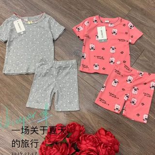 Combo Sỉ bộ Borip