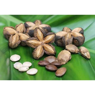 Dinh dưỡng từ thiên nhiên - Quỳnh Mai