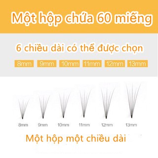 Set 60 Lông Mi Giả 10d Tự Nhiên 8 / 10 / 12mm Trang Điểm Cá Nhân Kiểu Nga