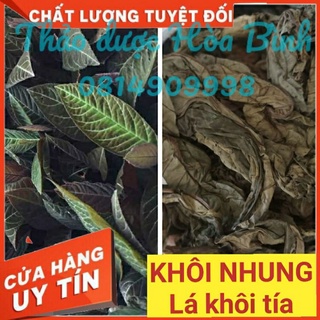 [Shop Mới] Lá Khôi Tía, Khôi Nhung rừng, chuẩn mới thơm sạch