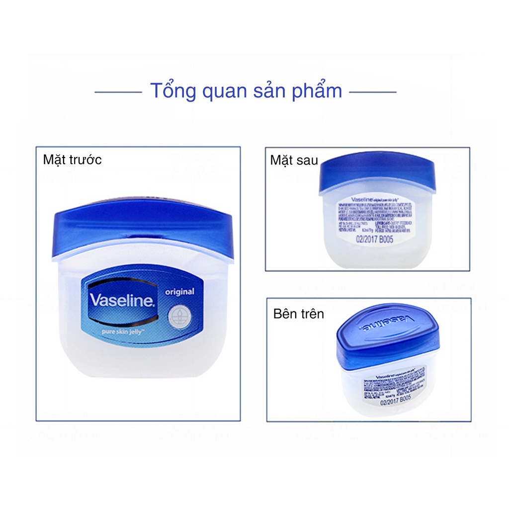 Son Dưỡng Môi Vaseline Dạng Hộp Cấp Ẩm Làm Mềm Mịn Môi, 7g Original