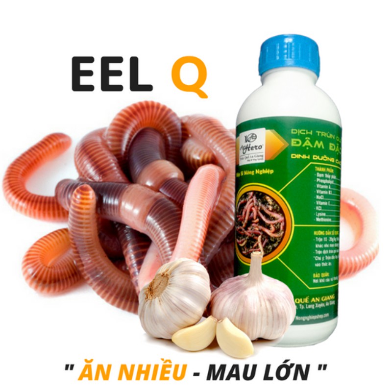 Dịch trùn quế EEL Q