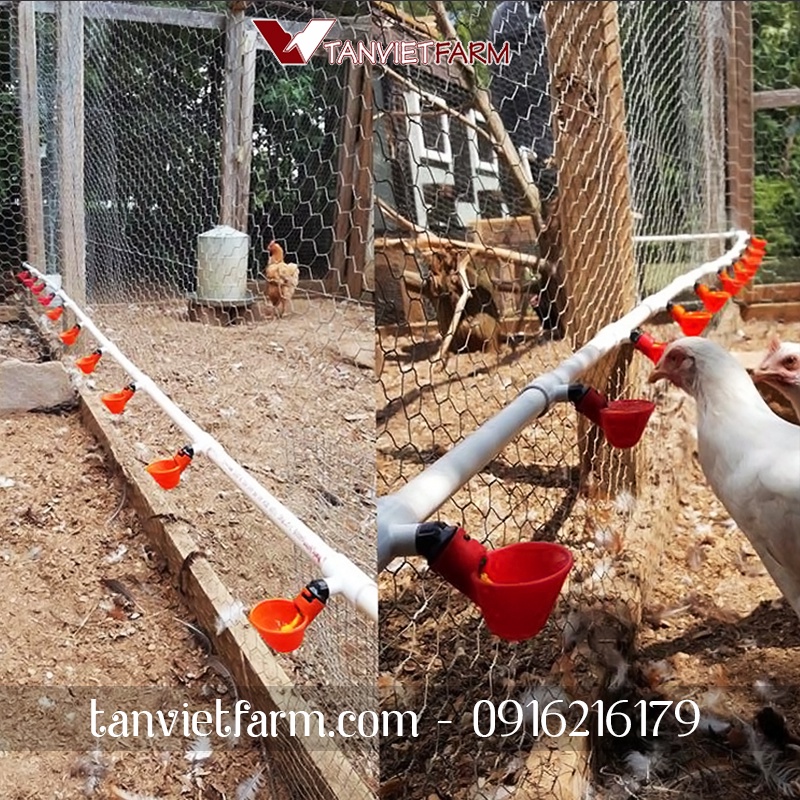COMBO 10 Máng uống nước tự động cho gà loại phao (Kèm theo bulong nhựa cố định)