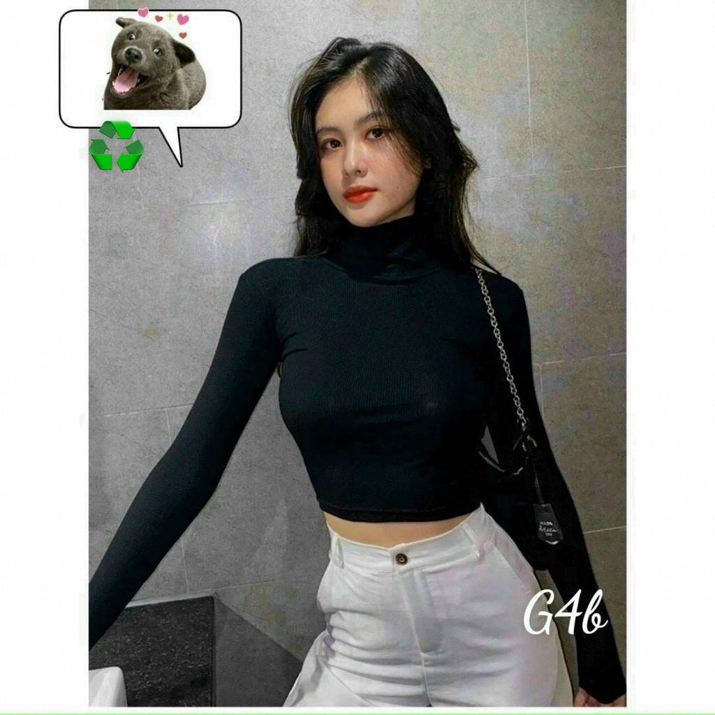 Áo thun nữ cổ lọ dáng ngắn croptop chất thun gân kiểu tay dài 42