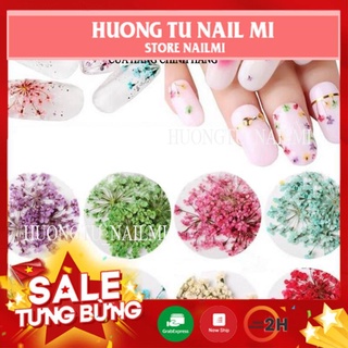 FREE SHIP❤️️ PHỤ KIỆN TRANG TRÍ NAIL ❤️️HOA KHÔ CHÙM  ẢN GEL LÀM ĐẸP MÓNG CHUYÊN NGHIỆP
