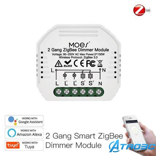 Mini DIY Tuya Zigbee Smart 2 / Gang Light Dimmer Module Hub Requires Smart Life Alexa Google Home Voice Control TAO3C