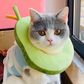 Vòng Cổ Chống Liếm Cho Thú Cưng