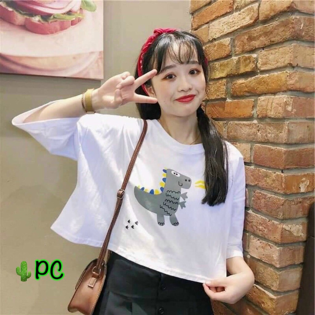 Áo Croprtop Form Rộng In Hình Khủng Long