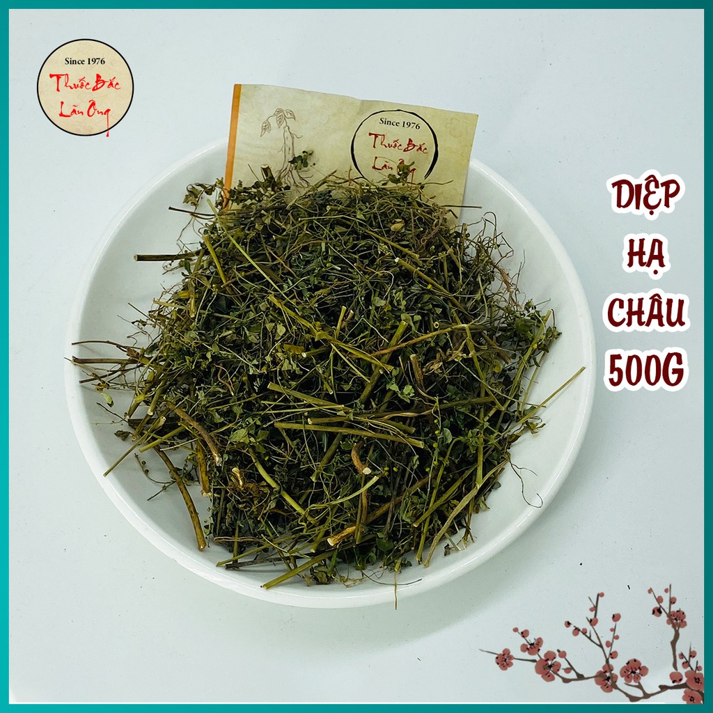 [Hàng Loại I] Chó Đẻ Đắng (Diệp Hạ Châu) 500g