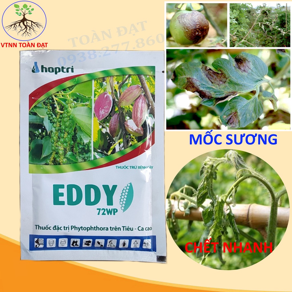 Thuốc Trừ Bệnh EDDY 72WP đặc trị mốc sương, vàng lá thối rễ (50g)