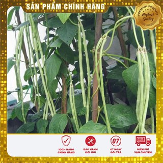 Bộ gói hạt giống đậu đũa xanh
