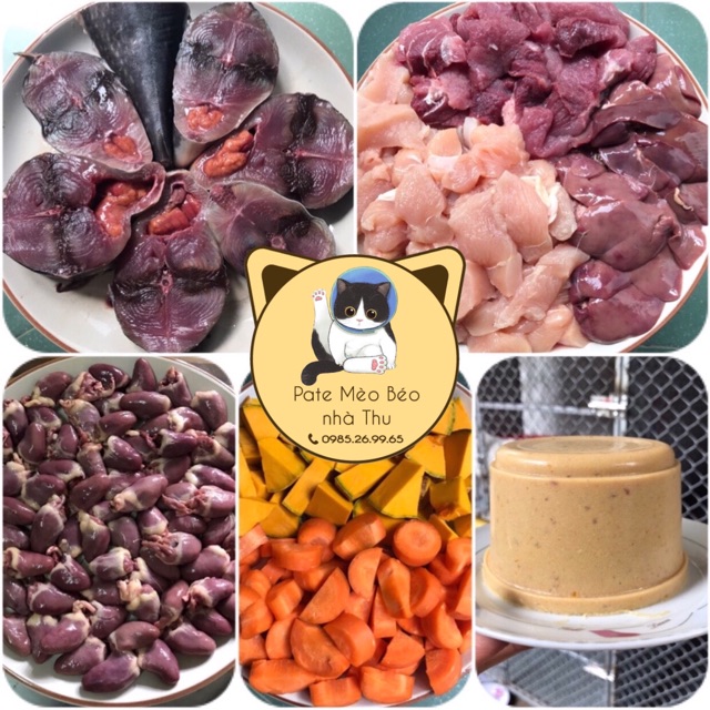 Pate mèo béo nhà Thu