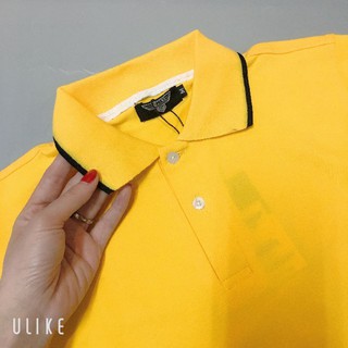 Áo polo nam nữ