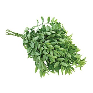 100H - HẠT GIỐNG RAU NGÓT