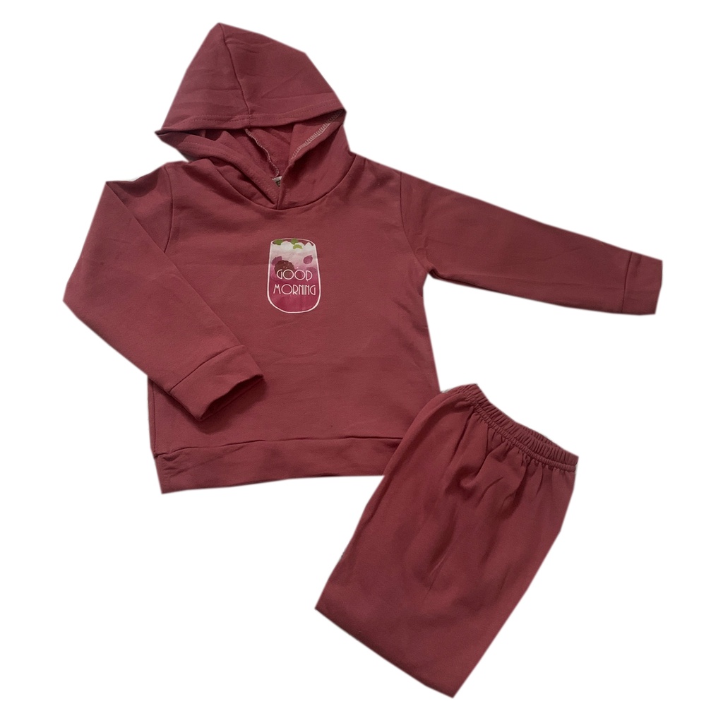 Bộ nỉ lông cho bé có mũ, bộ nỉ hoodie thu đông dài tay trẻ em hàng xuất khẩu