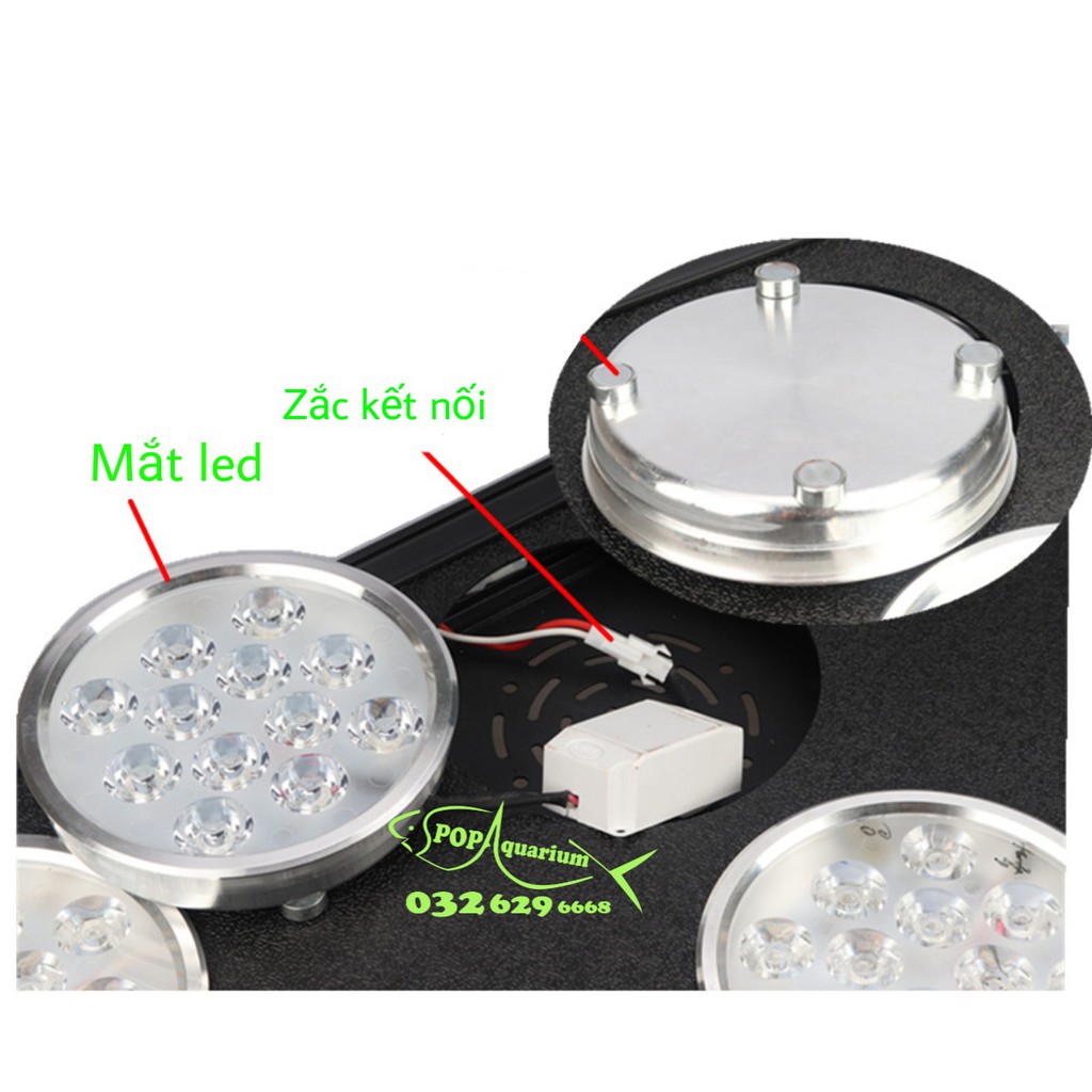 ĐÈN LED XIMA PA450 cho bể cá biển