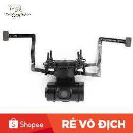 Cáp Moto Gimbal Hubsan Zino H117s