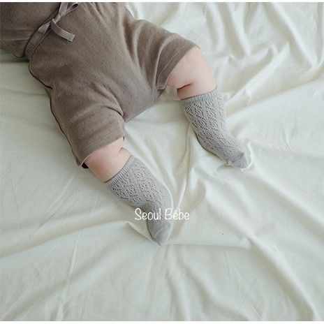 Tất ren lưới Peekaboo tất bắp thấp