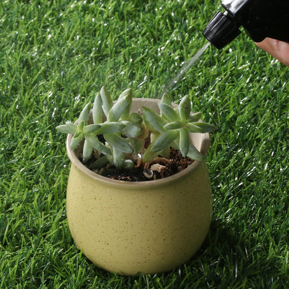 WTTLE Bình Xịt Nước Bằng Nhựa Dung Tích 250ml