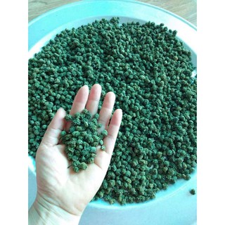 Sỉ toàn quốc nụ tam thất bao tử
