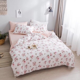 Set chăn ga gối cotton Hàn Quốc
