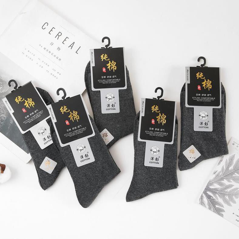 Tất nam cổ cao KOLANO vớ nam cotton co giãn đàn hồi đi làm, đi chơi, tập thể thao chạy bộ, gym đa năng FAS-001330