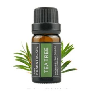 Tinh dầu tea tree dùng làm nến thơm 2