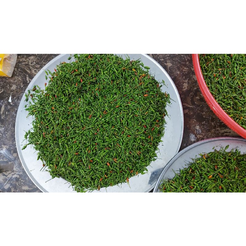 Ớt gió xanh ngâm muối cao nguyên đá Hà Giang