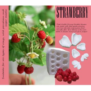 Strawberry Fruit - Khuôn vân nhựa dẻo hoa đất lấy vân 2 mặt