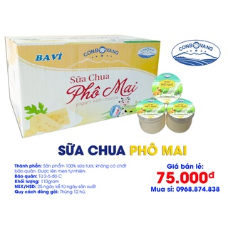 SỮA CHUA PHÔ MAI - CON BÒ VÀNG