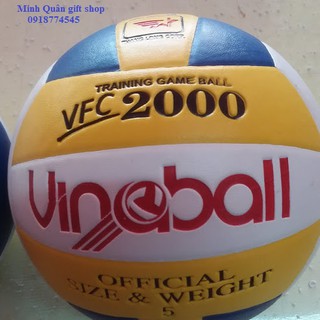 Bóng chuyền Vinaball VFC2000 số 5