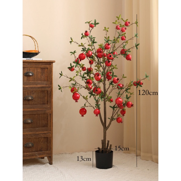 Cây lựu màu đỏ trang trí nhà cửa / Jassi Decor