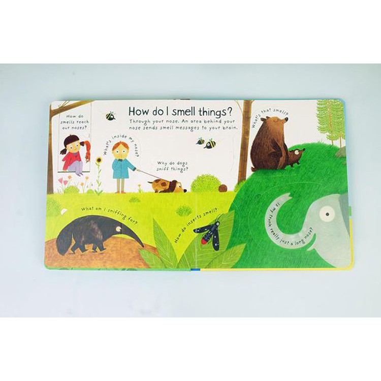 Sách Usborne - tương tác lật mở cho bé 6-8 tuổi Lift The Flap FIRST QUESTIONS ANSWERS HOW DO I SEE?