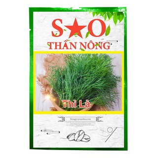 Hạt giống rau Thì là Sao Thần Nông cao sản thời vụ quanh năm