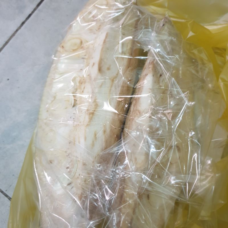 [Hỏa tốc HCM] Mít non xanh oganic 2kg - làm gỏi mít, mít kho chay có sẵn hcm