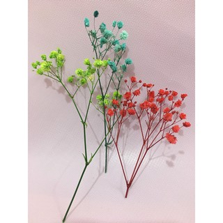 💐💐💐Hoa baby khô 💐 Hoa khô rẻ đẹp💐 Baby mini💐💐💐Trang trí nhà cửa💐Decor 💐Trang trí quán cafe, quán trà sữa💐