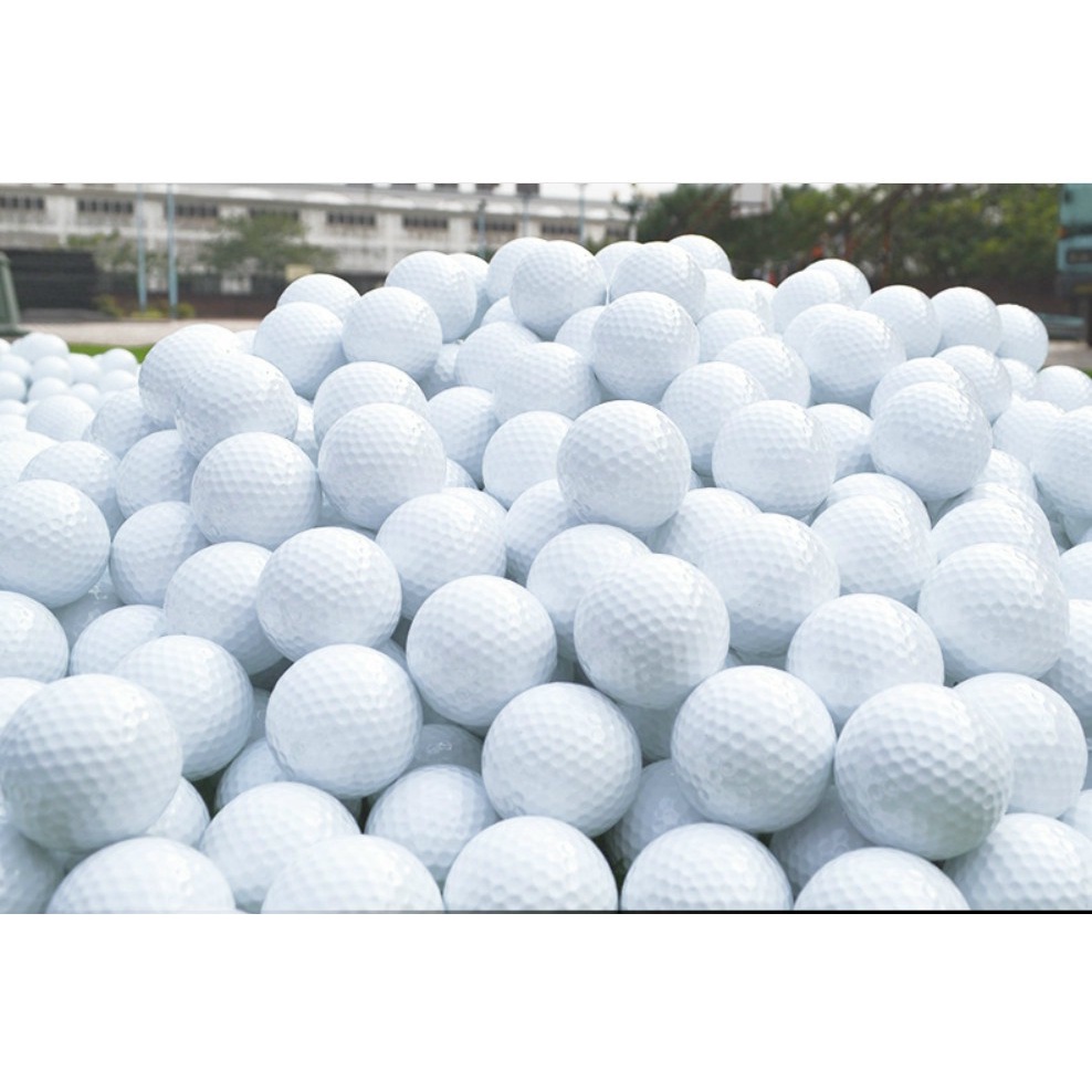 Bóng golf nổi 2 lớp cao su ngoài trời tập chơi túi 10 quả shop GOLF PRO BL007