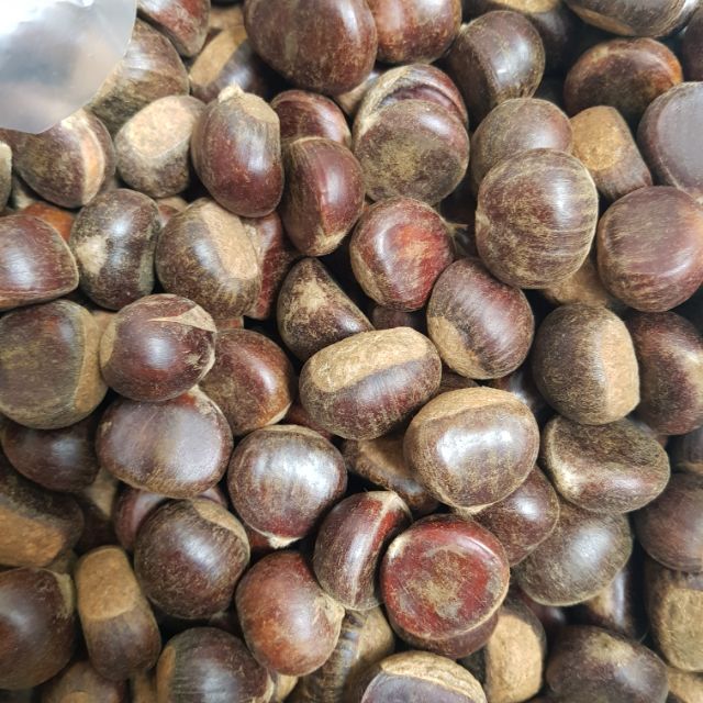 Combo sỉ