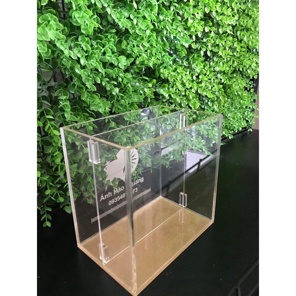 Hồ show cá 2 ngăn siêu trong/ keo show/ bể show cá betta guppy chất acrylic có khắc tên theo yêu cầu