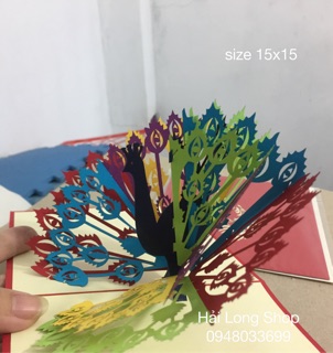 Chim  Công - Bird - Peacock - Thiệp 3D
