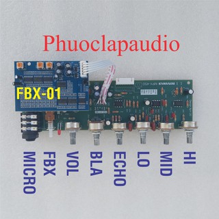 micro chống hú