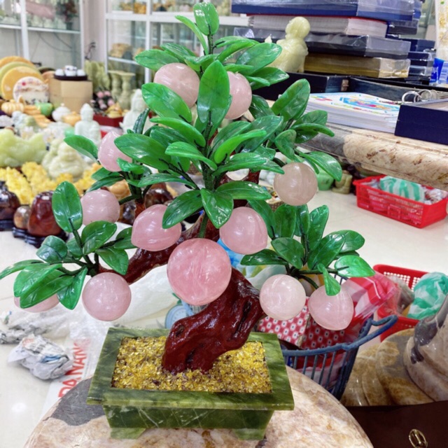 Cây đào ta hồng 12 quả [ hàng đẹp ]