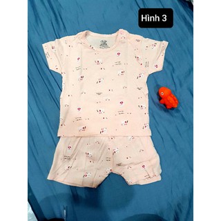Bộ Avaslew cộc tay cho bé