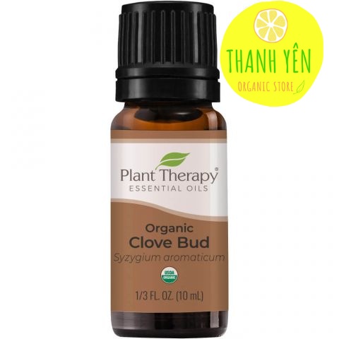 Tinh Dầu Nụ Đinh Hương Hữu Cơ Plant Therapy - Organic Clove Bud 10ml/30ml