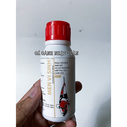 MEN VI SINH KHỬ MÙI TANH, LÀM TRONG NƯỚC CHO BỂ CÁ CẢNH ACPHARNO 125ML