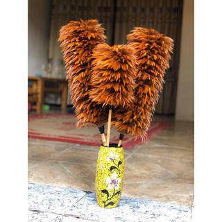 CHỔI LÔNG GÀ